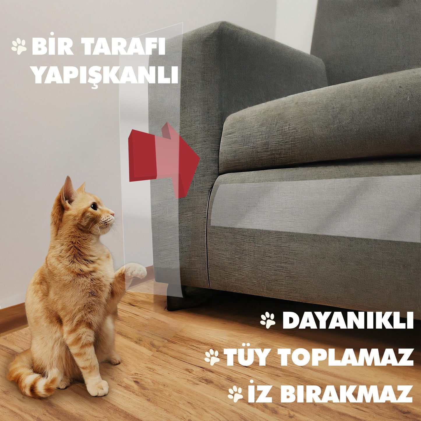 BOSS TAPE Film protecteur de meuble adhésif contre les rayures par la patte du chat 10cmx10m transparent