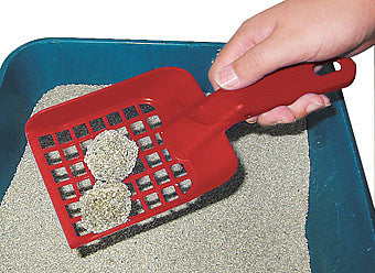 Pelle pour litière 28 cm carte-49493